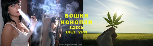 соль ск Арсеньев