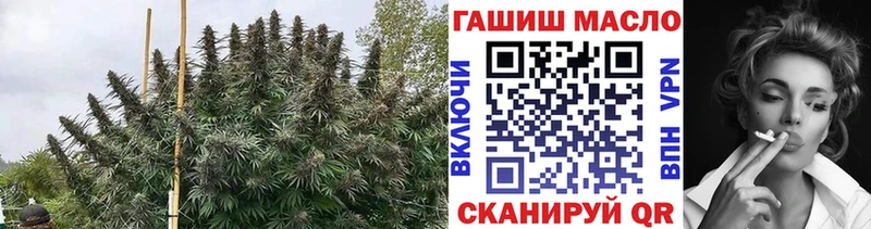 где продают наркотики Семёнов Дистиллят ТГК Wax